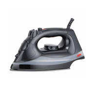 Steam Iron