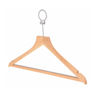 Anti-theft male hanger